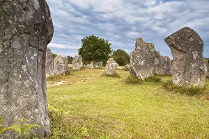 Morbihan Department Photos Drucke: Megalithic stone rows from Kerzerho