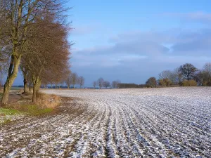 Winter Landscape Drucke: The melting snow on fields in early spring