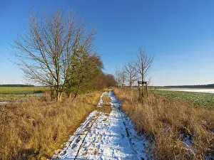 Winter Landscape Drucke: The melting snow on fields in early spring