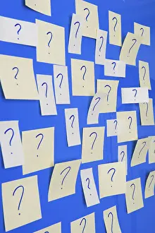 Diurnal Butterfly Habitat Drucke: Memo sheets on the wall with many question marks