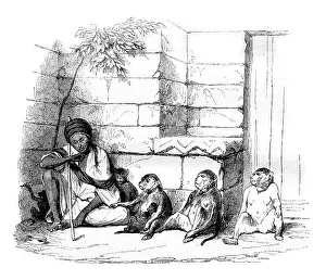 Magasin Pittoresque Illustrations Drucke: A Merchant of monkeys in Cairo