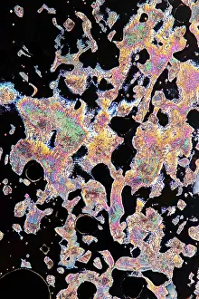 Liquid Crystals Microscope Drucke: Mesmerizing patterns and vibrant colors of liquid crystals under a microscope