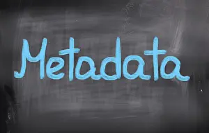 Cybercrime Protection Drucke: Metadata Concept