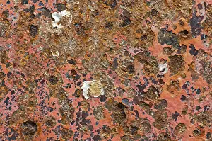 Deserted Metal Structure Drucke: Metal surface with red paint and rust