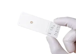 Scientific Research Tools Drucke: Microscope slide, cut out
