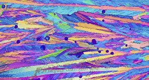 Polarisiertes Licht Drucke: Mikroskopisches Bild von Adipigsäure.