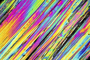 Polarisiertes Licht Drucke: Mikroskopische Aufnahme von Urea-Mikrokristallen im polarisierten Licht.