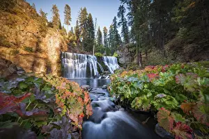 Drucke von Mittlerer Wasserfall, Fall-Wasserfall, McCloud River, Bezirk Siskiyou, Kalifornien, USA Siskiyou Drucke: Mittelwasserfall, Fall-Wasserfall, McCloud River