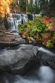 Drucke von Mittlerer Wasserfall, Fall-Wasserfall, Fluss McCloud, County Siskiyou, Kalifornien, USA Siskiyou Drucke: Mittlerer Wasserfall, Fall-Wasserfall, McCloud-Fluss