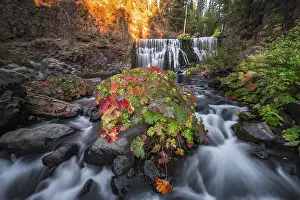 Drucke von Middle Falls, Wasserfall Fall, McCloud River, Siskiyou County, Kalifornien, USA Siskiyou Drucke: Mittlerer Wasserfall, Fall-Wasserfall, McCloud River