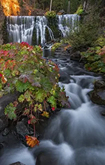 Drucke von Middle Falls, Wasserfall Fall, McCloud River, County Siskiyou, Kalifornien, USA Siskiyou Drucke: Mittelwasserfall, Wasserfall Fall, McCloud River