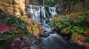 Drucke von Middle Falls, Wasserfall Fall, McCloud River, Siskiyou County, Kalifornien, USA Siskiyou Drucke: Mittlerer Wasserfall, Fall-Wasserfall, McCloud-Fluss