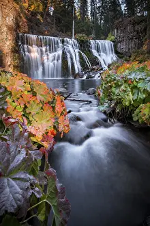 Drucke von Middle Falls, Wasserfall Fall, McCloud River, Siskiyou County, Kalifornien, USA Siskiyou Drucke: Mittelwasserfall, Wasserfall Fall, McCloud River