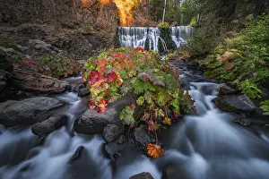 Drucke von Mittlerer Wasserfall, Fall-Wasserfall, McCloud River, Siskiyou County, Kalifornien, USA Siskiyou Drucke: Mittelwasserfall, Wasserfall Fall, McCloud River