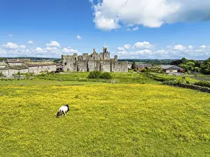 British Tourist Attractions UK Drucke: Middleham Castle from a drone, Middleham