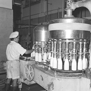 Black And White Factory Scene Drucke: Milk bottles getting ready for dis patch