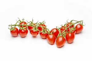 Red Tomato Drucke: Mini Cherry Tomatoes
