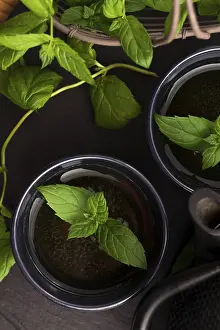 Mint Tea Still Life Drucke: Mint tea