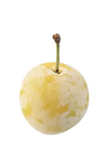 Single Object Food Photography Drucke: Mirabelle of Nancy