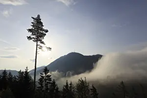 Cloudy European Landscape Drucke: Mist at Semmering Pass, Lower Austria
