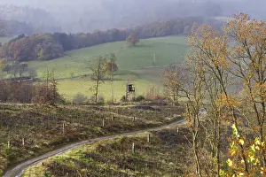 Foggy Atmosphere Photography Drucke: Misty autumn landscape with fields and bare trees along a path to a viewpoint