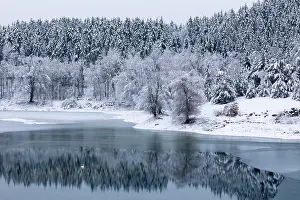 Frozen Forest Scenery Drucke: Mixed forest reflecting on water