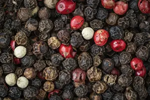Diverse Spices Drucke: Mixed peppercorns background. Different colored peppercorns