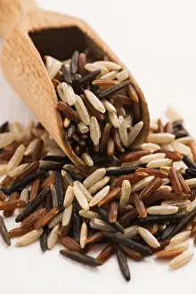 Studio Shot Drucke: Mixed rice