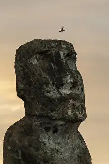 Polynesian Cultural Site Drucke: Moai, weathered stone statue in detail