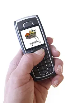Payment Transaction Icon Drucke: Mobile shopping