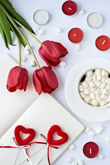 Red Tulips Drucke: Mock up with empty space for text