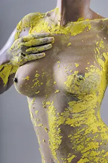 Coloured Plaster Model Drucke: Model covered in coloured plaster