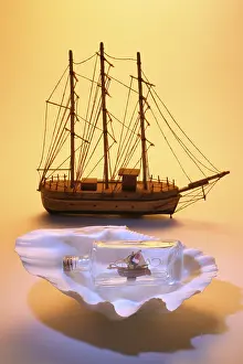 Seashell Decoration Drucke: Model ship and ship in a bottle on a seashell