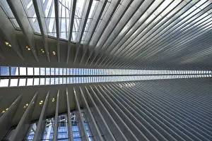 Geometric Design Drucke: Modern architectural interior featuring repeated linear patterns and daylight streaming through the overhead structure