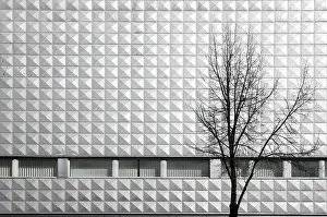 Contemporary Architectural Style Drucke: Modern house facade