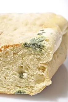 Moldy Bread Drucke: Moldy bread