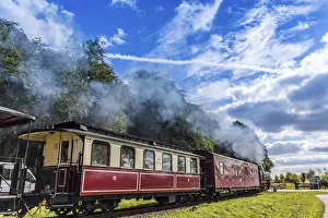 Narrow Gauge Railway Drucke: Molli train