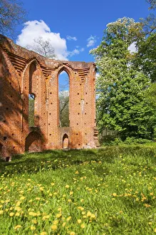 Eastern Germany Tourist Attraction Drucke: Monastery ruins of Boitzenburg