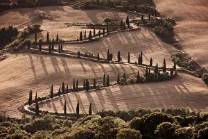 Tuscany Landscape Drucke: Monticchiello, Val d'Orcia