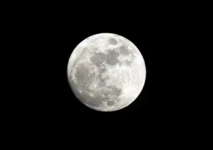 Full Moon Drucke: Full moon
