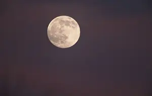 Full Moon Image Drucke: Full Moon