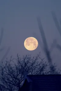 Nighttime Nature Photography Drucke: Full moon