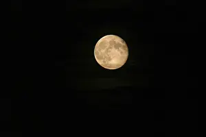 Full Moon Drucke: Full moon