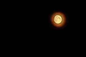 Full Moon Over Mountains Drucke: Full moon in the Alps