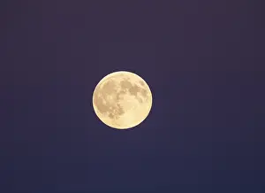 Full Moon Night Sky Drucke: Full moon with cloudless night sky