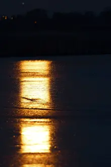 Middle Elbe Biosphere Reserve Drucke: Full moon reflected in the ice