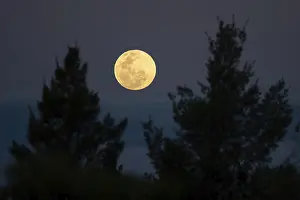 Dark Sky Photography Drucke: Full moon rising above the clouds