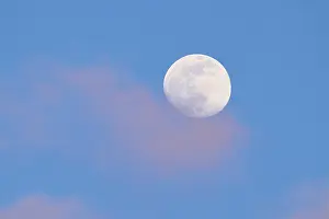 Evening Light In Bavaria Drucke: Moon at sunset, evening, clouds