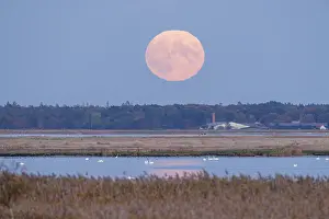 German Federal Republic Skyline Drucke: Moonrise, Germany