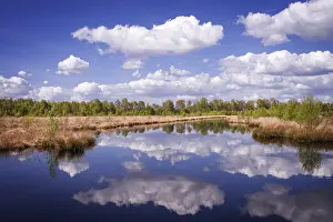 Northern Germany Landscape Drucke: Moor landscape